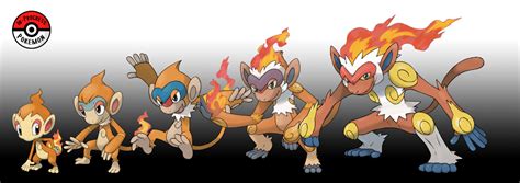 infernape mega evolve|chimchar evolution line.